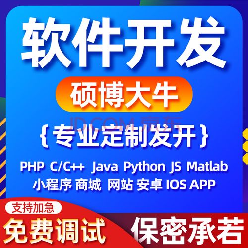 软件定制开发全指南 从App到小程序与官网系统